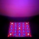 Red Blue OrangeWhite Hydroponic LED Grow Light Lamp 18 watt 225/120/110V New 229