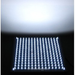 16W 229pcs White LED Grow Light Panel + 100V-240V 50-60Hz AC Adaptor 