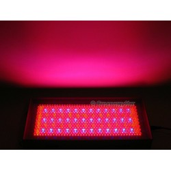 Red Blue Orange 711 LED Grow Light Panel 30 W Hydroponic Plant Lamp+Adaptor 225