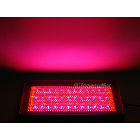 Red Blue Orange 711 LED Grow Light Panel 30 W Hydroponic Plant Lamp+Adaptor 225