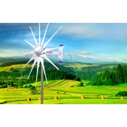 3200 W WindZilla PMA 12V AC 12 Blades Wind Turbine Generator+225A Slip Ring+Hub